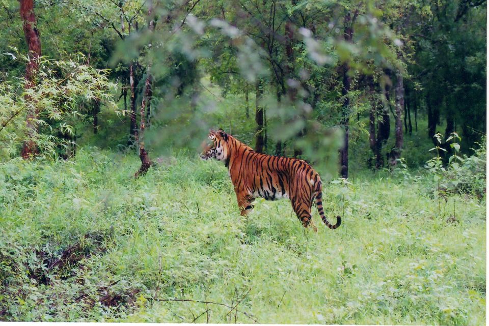 Photo of 20 Trip Ideas For The Often Exploited Corporate Employee Of Bengaluru. 7/21 by Le Voyageur