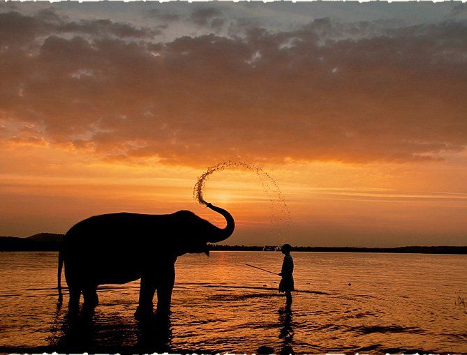 Photo of 20 Trip Ideas For The Often Exploited Corporate Employee Of Bengaluru. 20/21 by Le Voyageur