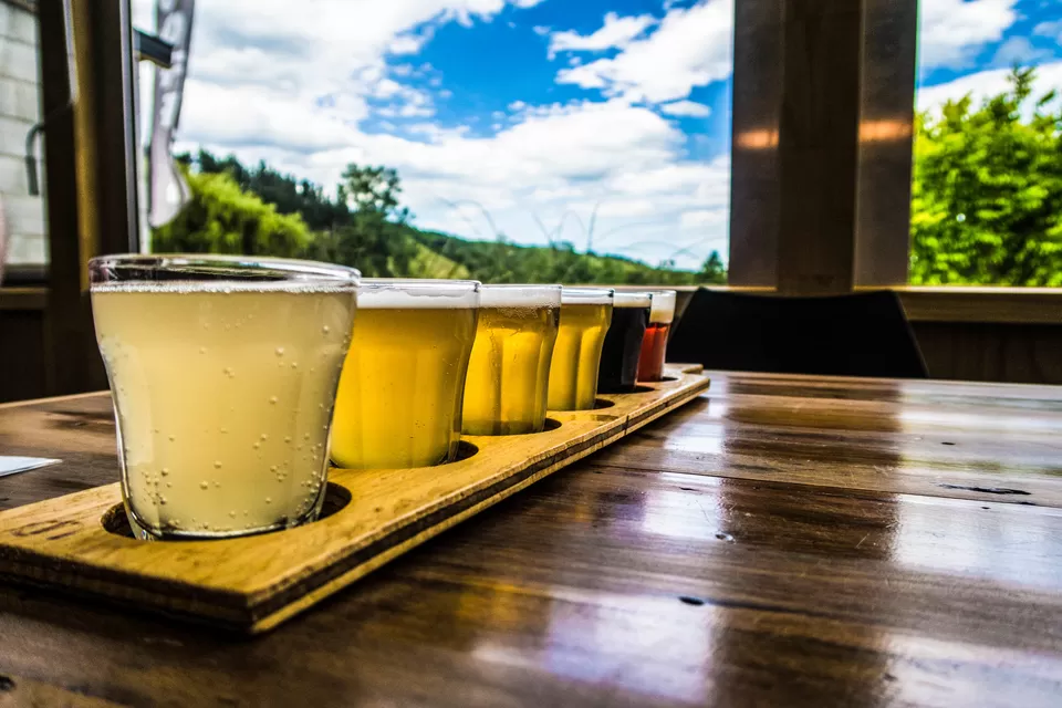 Photo of 10 Reasons for New Zealand to be your next Destination by Aditi Jana