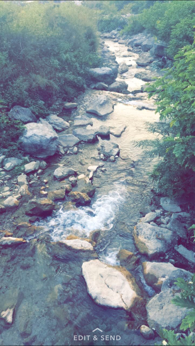 Photo of Dehradun, Uttarakhand, India by Paras Bakshi