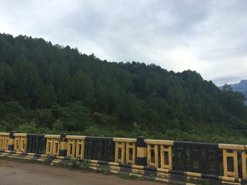 Photo of A Monsoon Weekend in Palampur 2/7 by Uditi Gupta