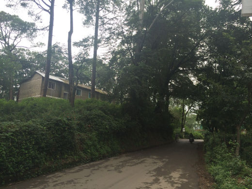 Photo of A Monsoon Weekend in Palampur 4/7 by Uditi Gupta