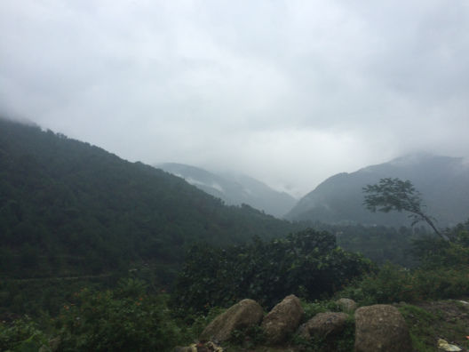 Photo of A Monsoon Weekend in Palampur 6/7 by Uditi Gupta