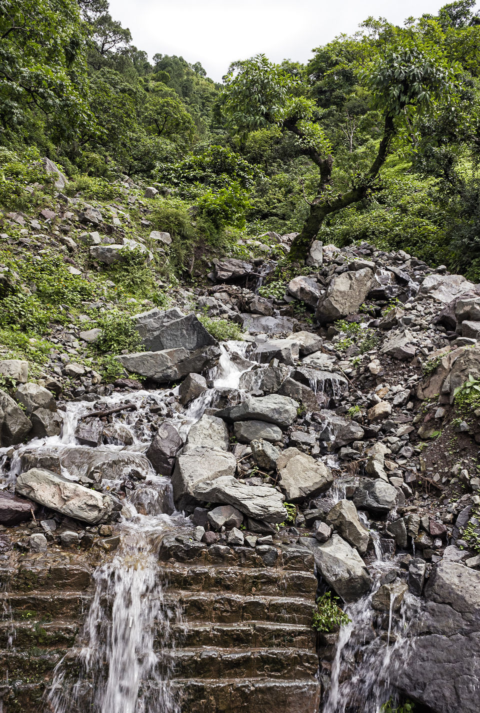 Photo of Nahan - amidst nature's abundance #colourgreen 3/9 by Kunal Khurana