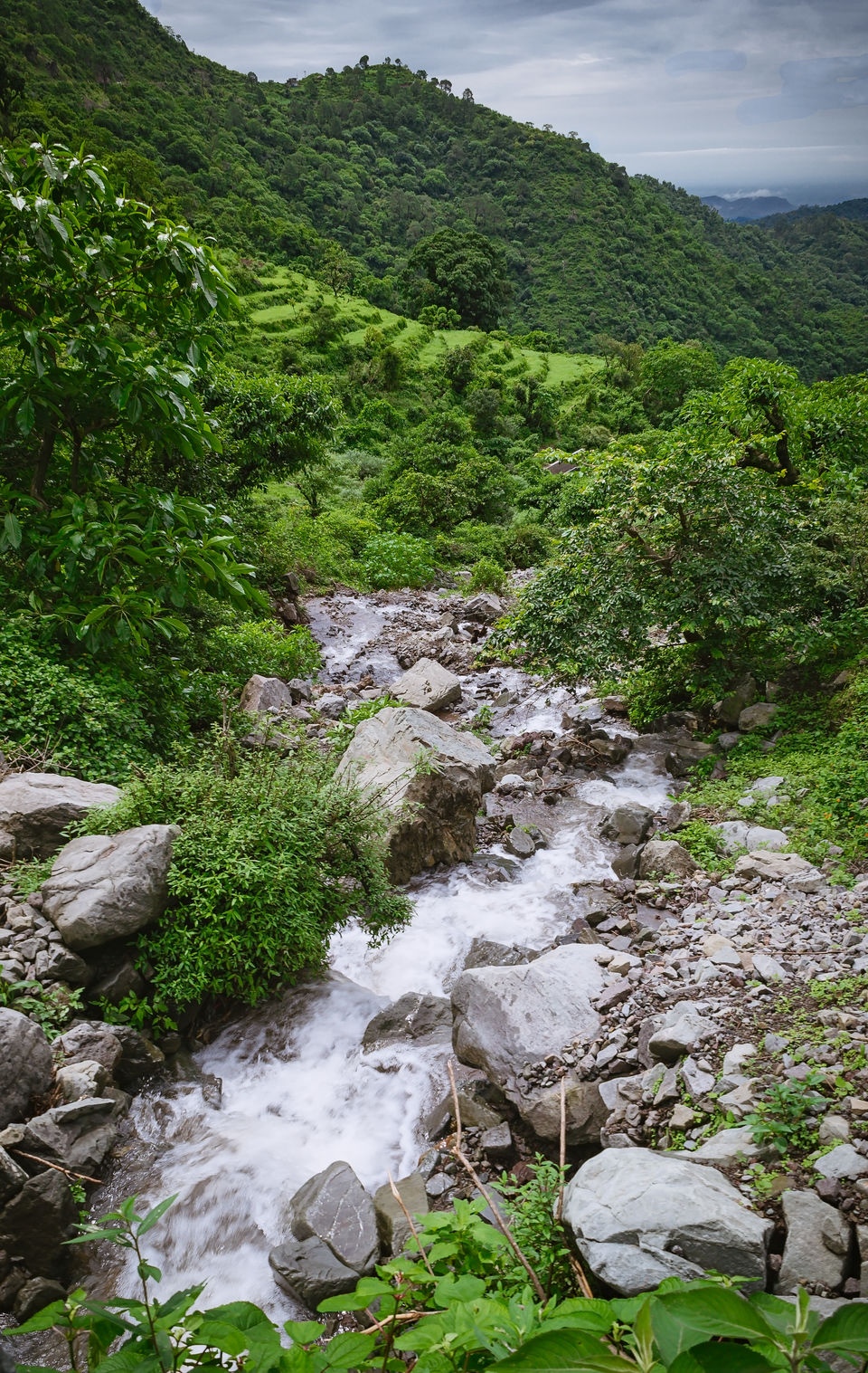 Photo of Nahan - amidst nature's abundance #colourgreen 2/9 by Kunal Khurana