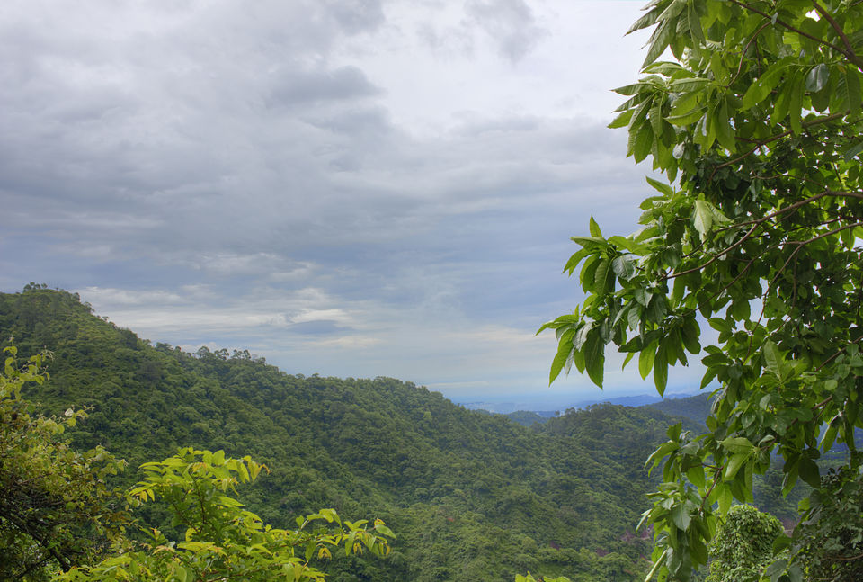 Photo of Nahan - amidst nature's abundance #colourgreen 5/9 by Kunal Khurana
