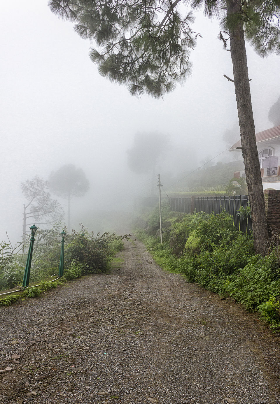 Photo of Nahan - amidst nature's abundance #colourgreen 9/9 by Kunal Khurana