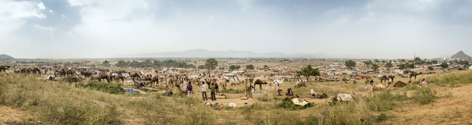 Photo of The ever so talked about "Pushkar Fair" 9/10 by Kunal Khurana