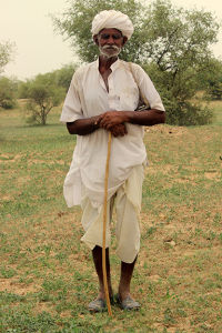 Photo of Discovering Rajasthan: 1600 kilometers in 4 Days 3/12 by Travel Beings