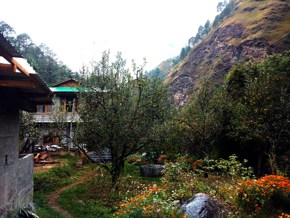 Photo of A two day guide to explore Tirthan Valley 4/8 by Travel Beings