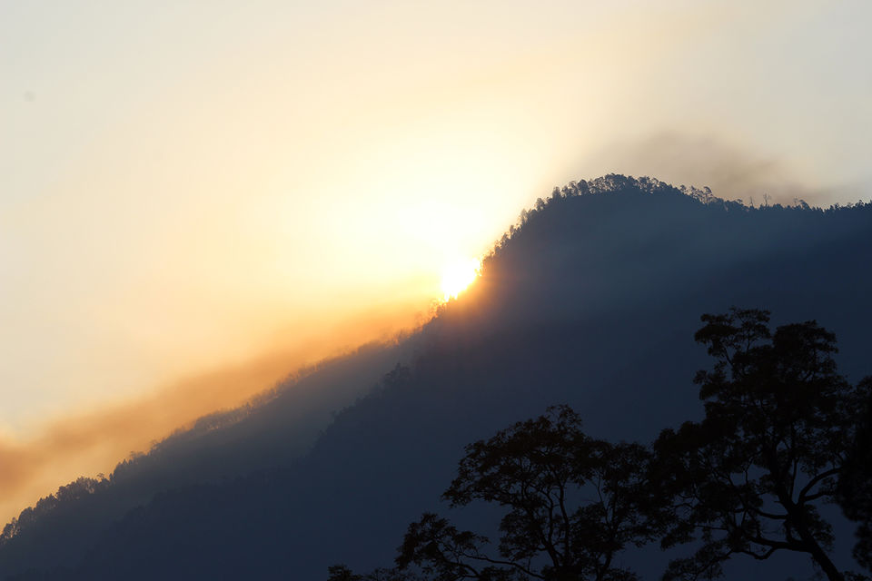 Photo of Binsar Valley: The unexplored heaven of Uttrakhand 2/10 by Travel Beings