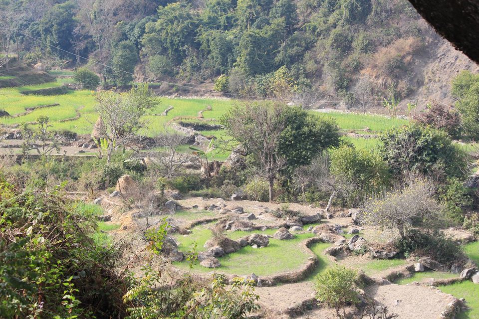 Photo of Binsar Valley: The unexplored heaven of Uttrakhand 3/10 by Travel Beings