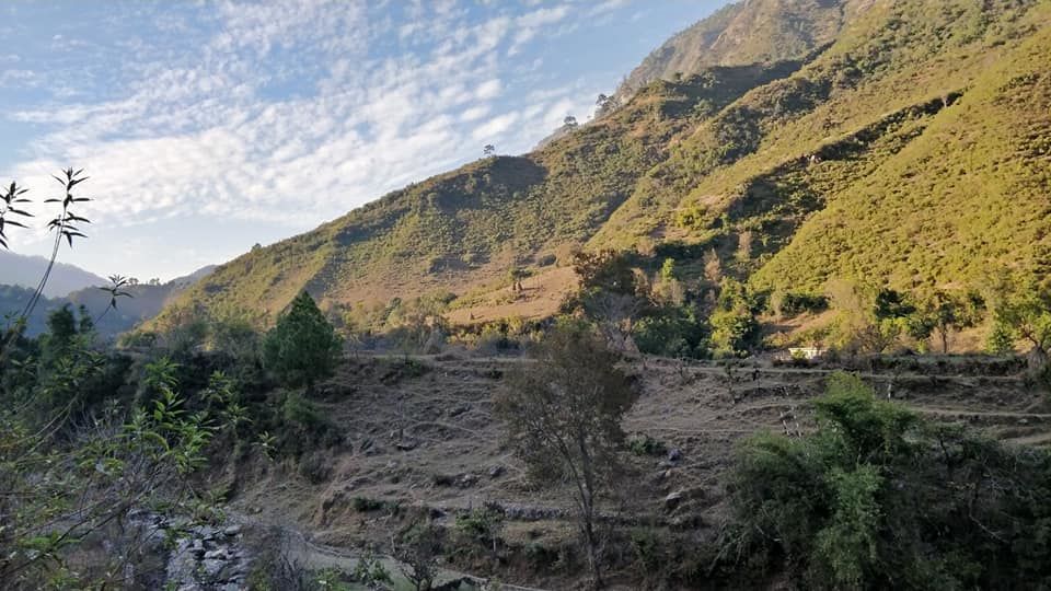 Photo of Binsar Valley: The unexplored heaven of Uttrakhand 4/10 by Travel Beings