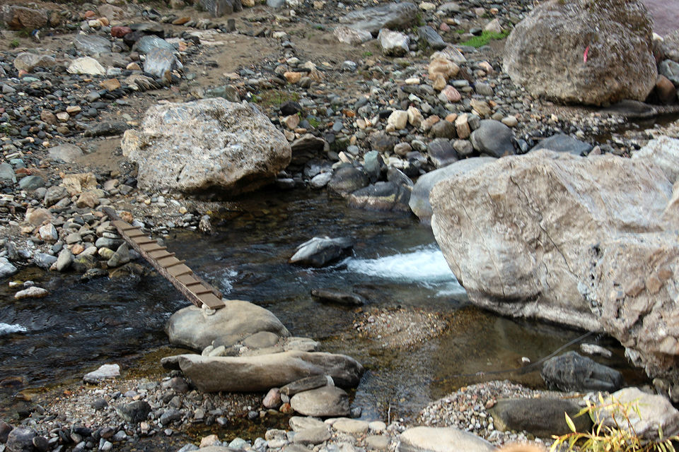 Photo of Binsar Valley: The unexplored heaven of Uttrakhand 6/10 by Travel Beings