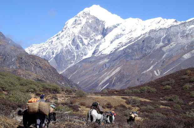 Photo of Top Treks for Experienced Trekkers 8/8 by Travel Beings