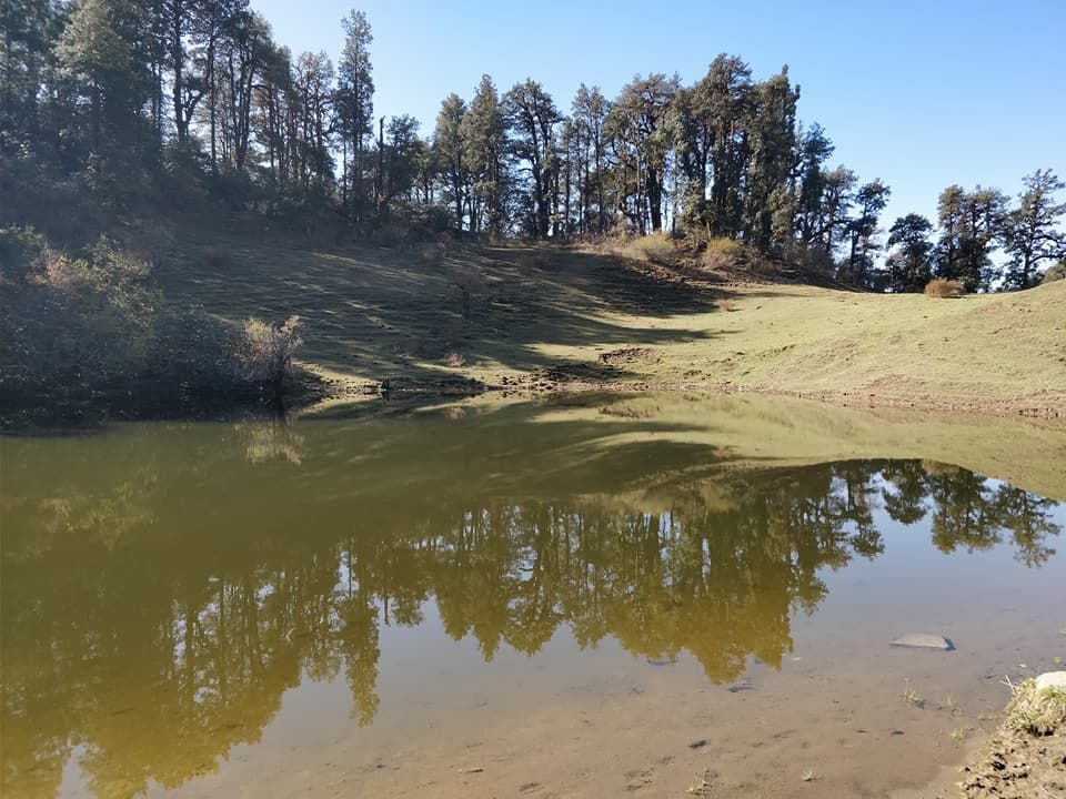 Photo of A Trek to Heavenly Meadows: Dayara Bugyal 5/8 by Travel Beings