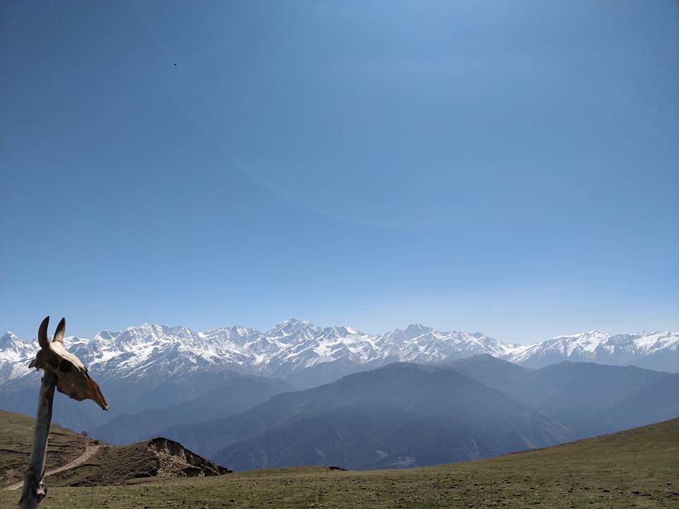 Photo of How I Managed Dayara Bugyal Trek Under 3000 Rupees 1/1 by Travel Beings