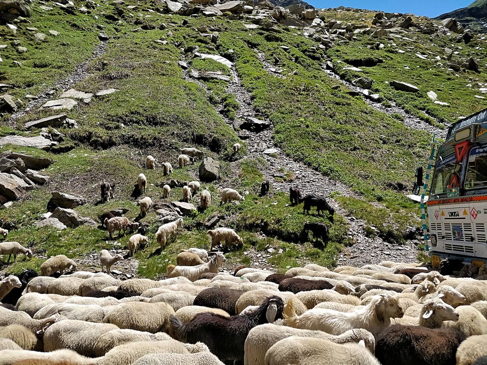 Photo of Manali-Leh Roadtrip: Every Traveller’s Dream 1/9 by Travel Beings