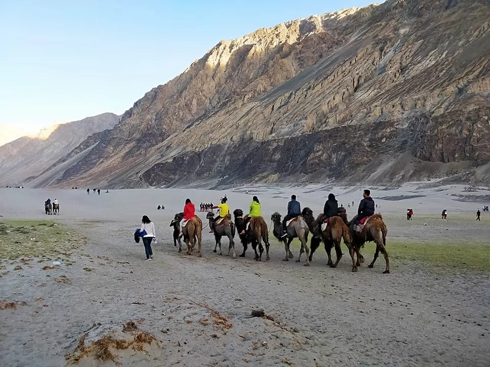 Photo of Nubra Valley by Travel Beings