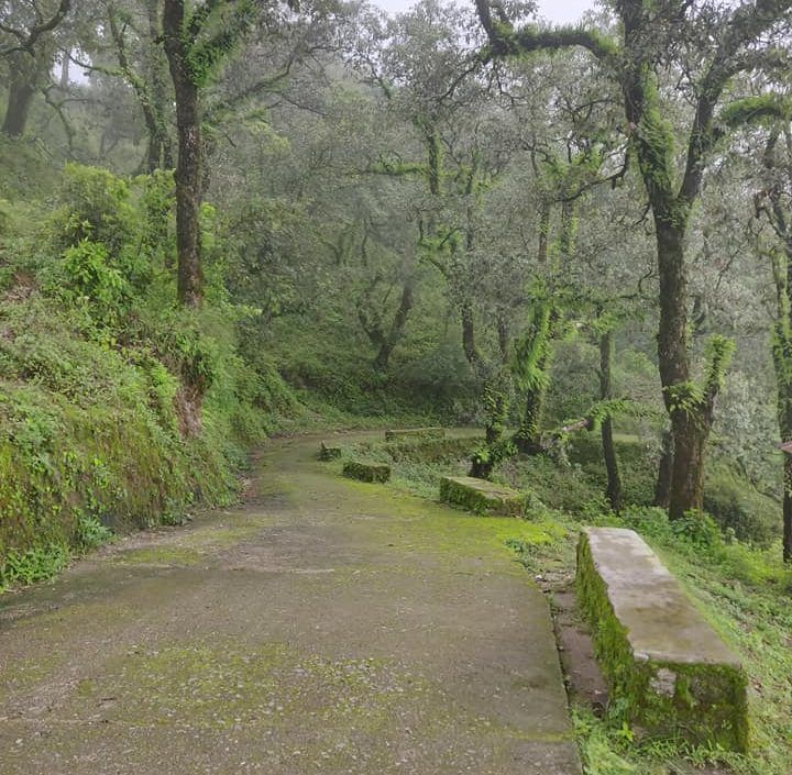 Photo of Lansdowne: A Perfect Destination for Monsoon 1/8 by Travel Beings