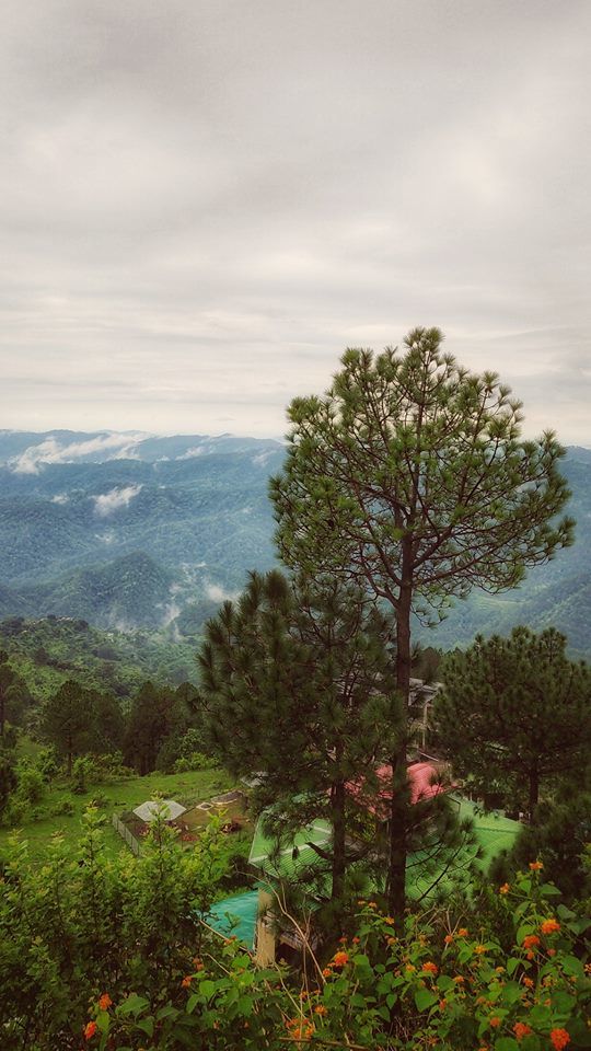 Photo of Lansdowne: A Perfect Destination for Monsoon 6/8 by Travel Beings