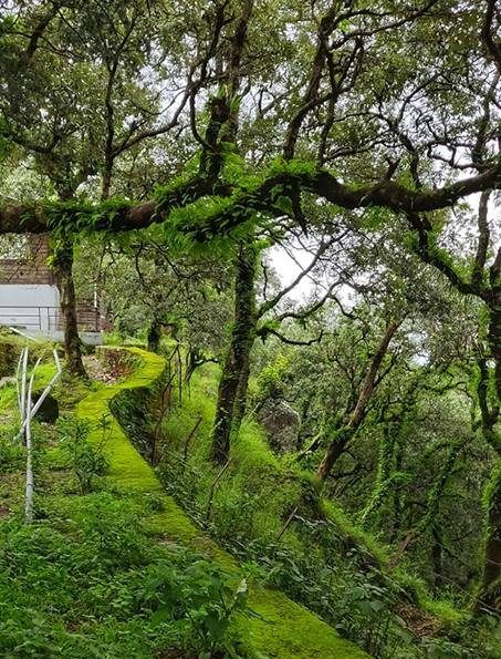 Photo of Lansdowne: A Perfect Destination for Monsoon 7/8 by Travel Beings