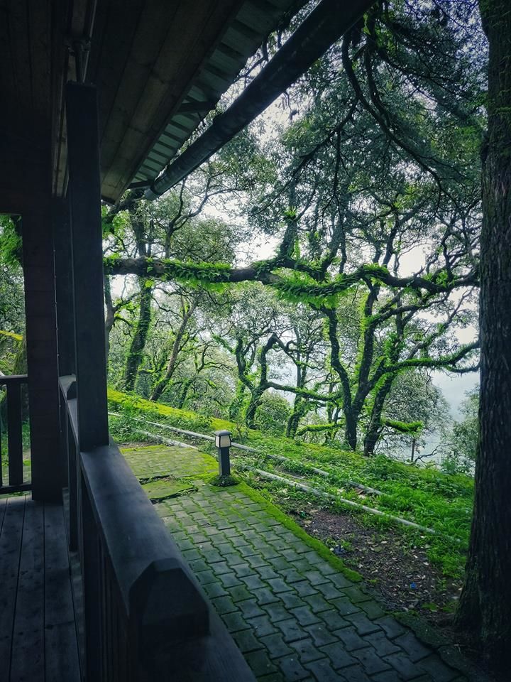 Photo of Lansdowne: A Perfect Destination for Monsoon 8/8 by Travel Beings
