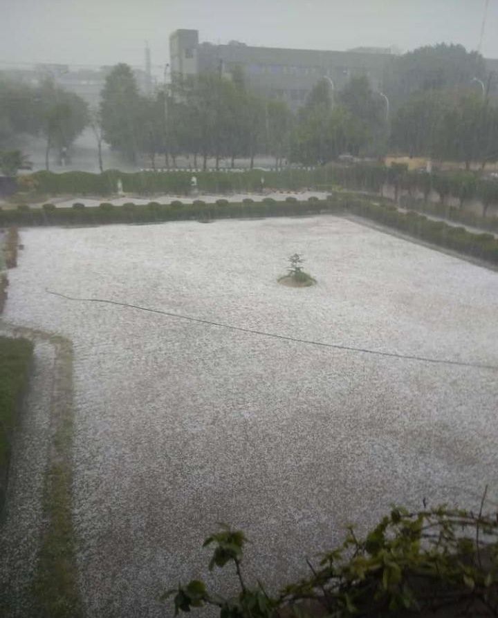 Photo of Remember The 'Snowfall' In Delhi? It Might Happen Again On Valentine's Day, Says The MET Department 1/4 by Travel Beings