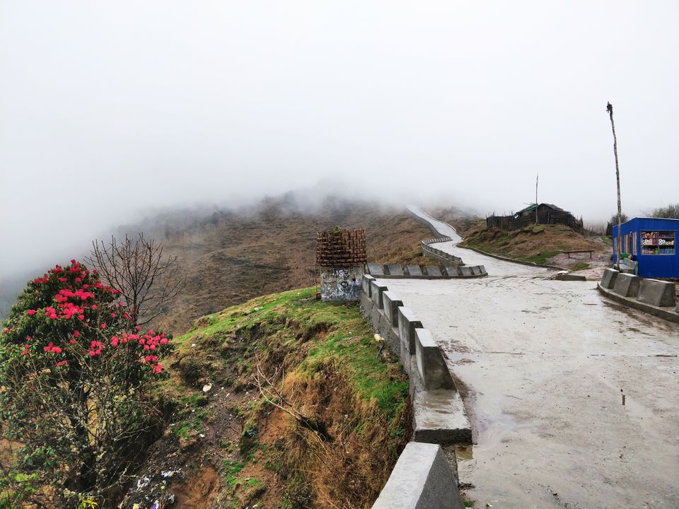 Photo of Snow, Rhododendron Flowers, Tea Gardens: This Unheard Trek Is a MUST for April 2022! 5/9 by Travel Beings
