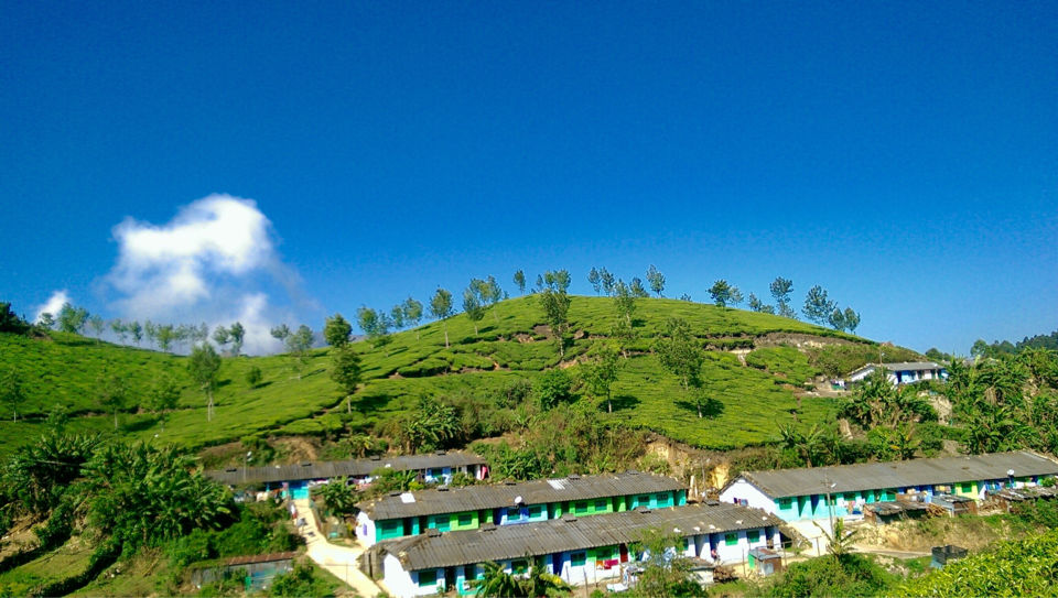 Photo of Munnar camping- Kerala by Nibras