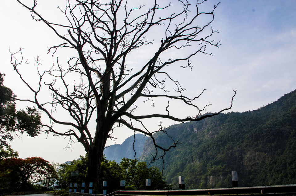 Photo of Remote hills aloof - Story of the unseen Ooty and Kodai by Pavan K S