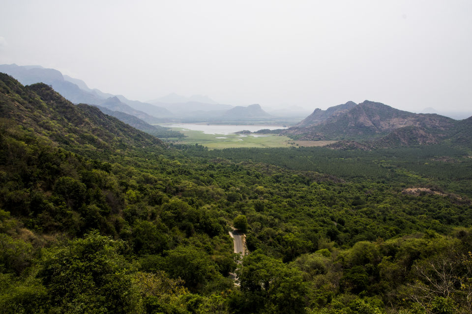 Photo of Remote hills aloof - Story of the unseen Ooty and Kodai by Pavan K S