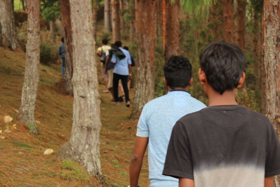 Photo of Remote hills aloof - Story of the unseen Ooty and Kodai by Pavan K S
