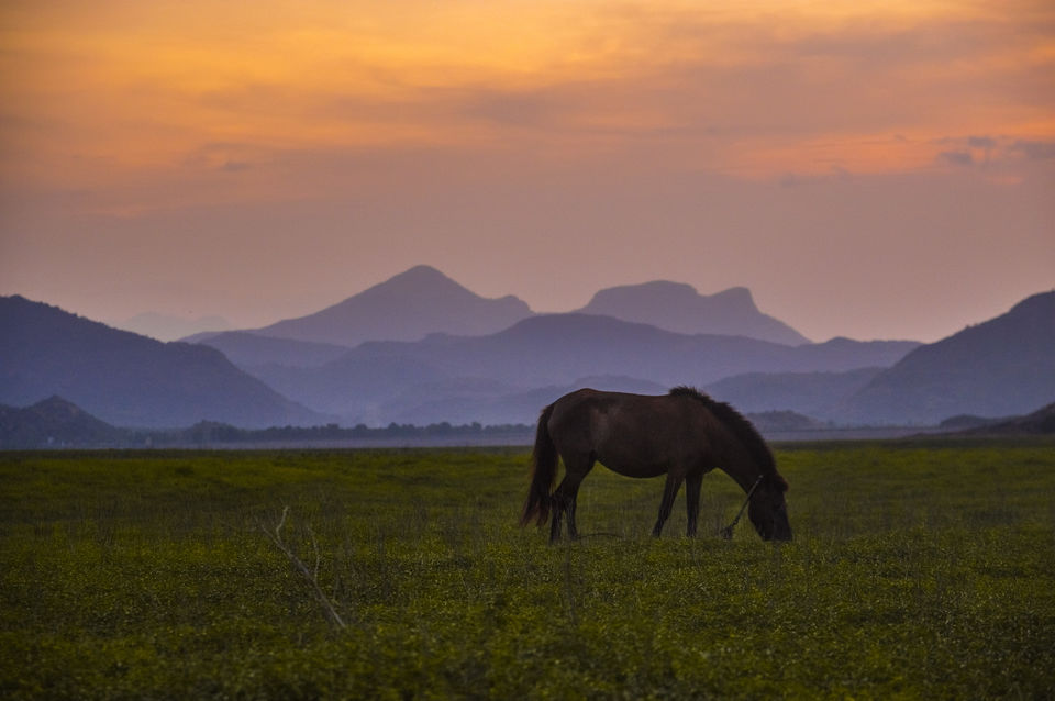 Photo of Remote hills aloof - Story of the unseen Ooty and Kodai by Pavan K S