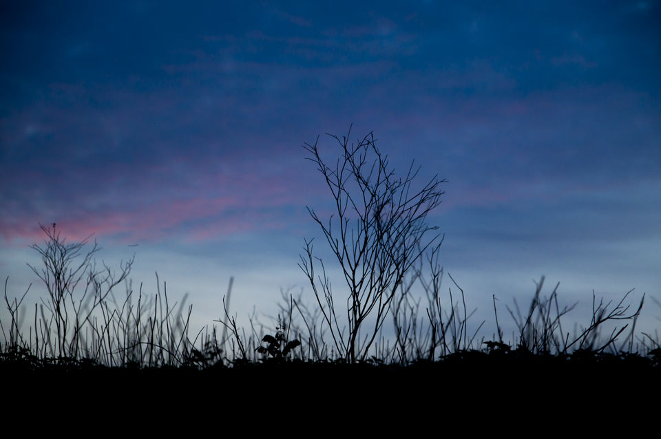 Photo of Remote hills aloof - Story of the unseen Ooty and Kodai by Pavan K S