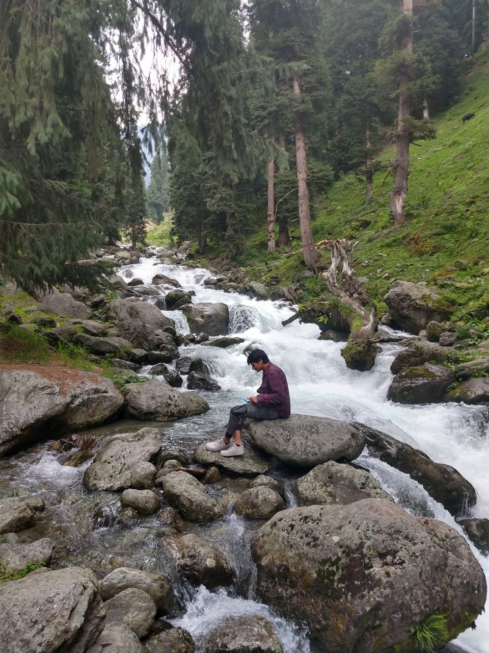 Photo of Pahalgam by Himalayan_country