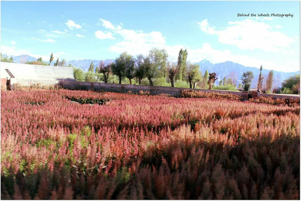 Photo of Jammu and Kashmir by Bhuvanesh Waran