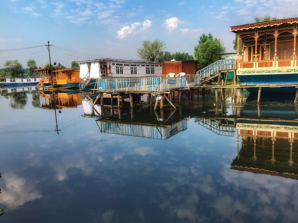 Photo of Upside Down or Downside Up? by Jennifer Lobo