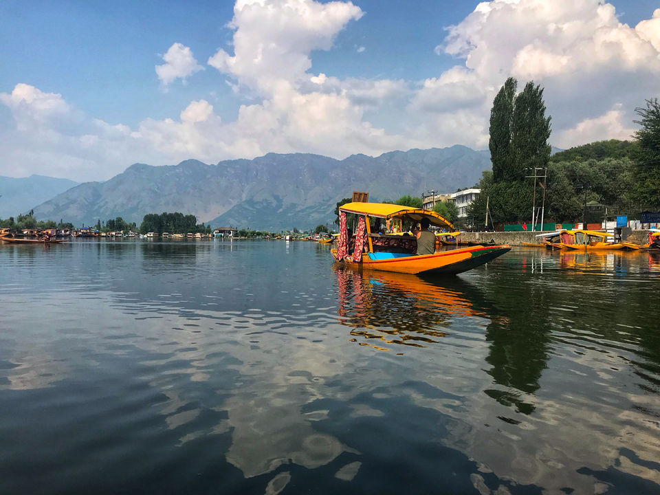 Photo of Dal Lake by Jennifer Lobo
