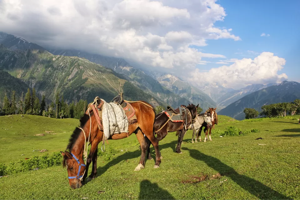 Photo of Table Top - Sonmarg by Jennifer Lobo
