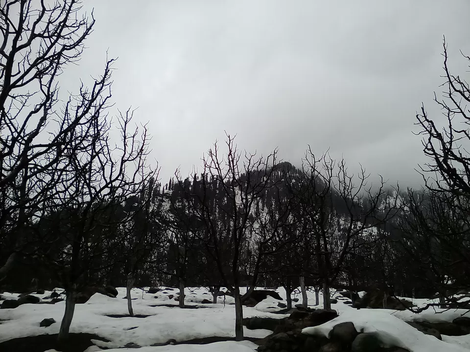 Photo of Jalandhar, Punjab, India by Amrit