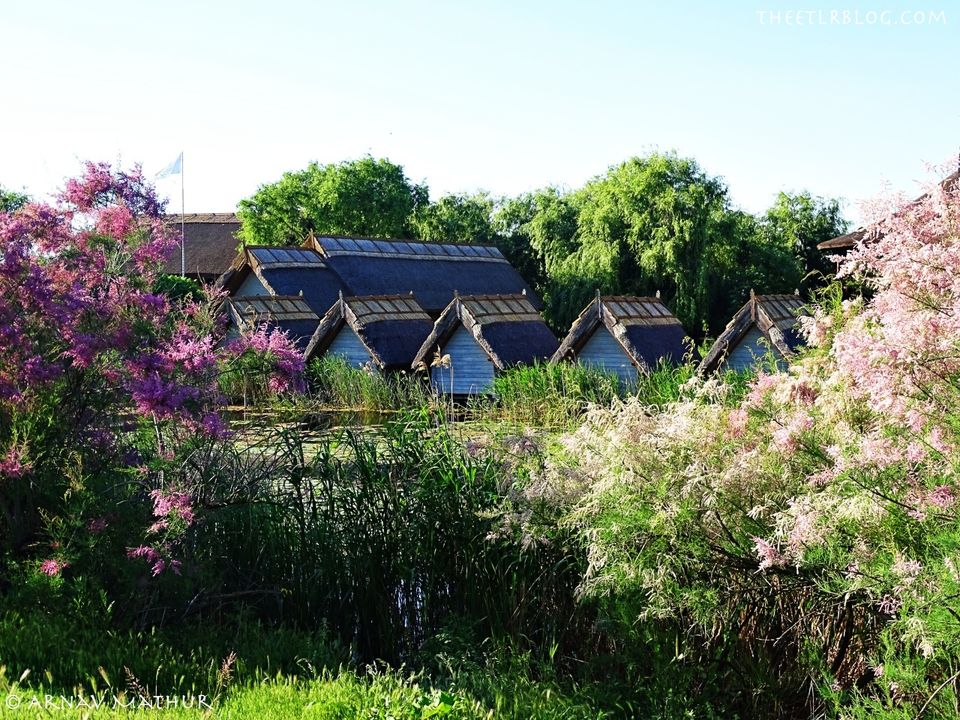 Photo of Spend a Weekend in DANUBE DELTA, Romania and RECONNECT with NATURE by Eat | Travel | Live | Repeat - Arnav Mathur
