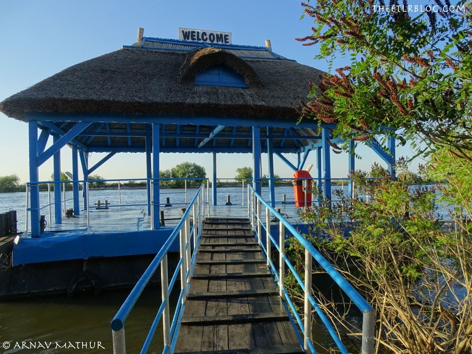 Photo of Spend a Weekend in DANUBE DELTA, Romania and RECONNECT with NATURE by Eat | Travel | Live | Repeat - Arnav Mathur