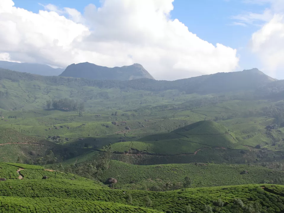 Photo of Munnar, Kerala, India by ipenmymusings