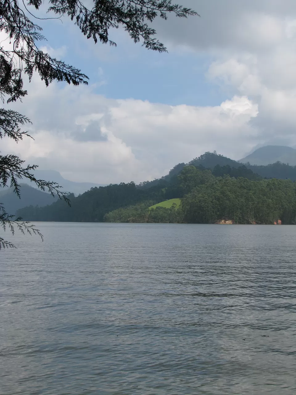 Photo of Munnar, Kerala, India by ipenmymusings