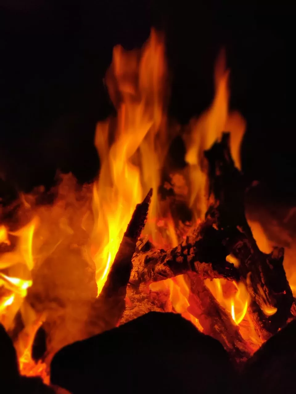 Photo of Zostel, Sivanadi Road, Kodaikanal, Tamil Nadu, India by Ashish Bhardwaj