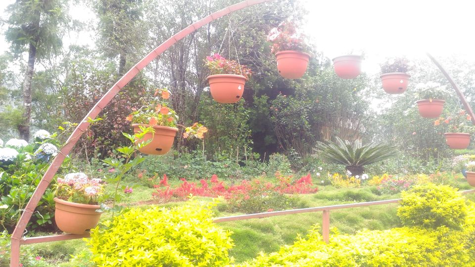 Photo of Green town! #DestinationSouth 6/15 by Swati Singh