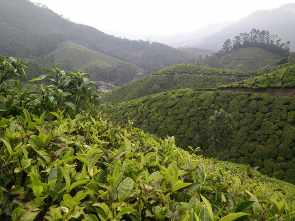 Photo of Green town! #DestinationSouth 11/15 by Swati Singh