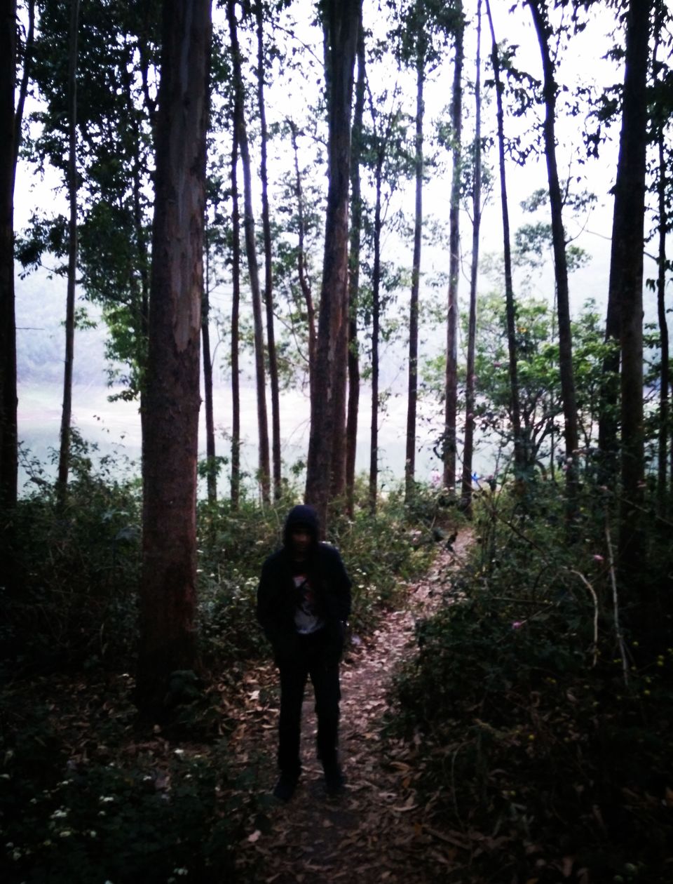 Photo of Green town! #DestinationSouth 12/15 by Swati Singh