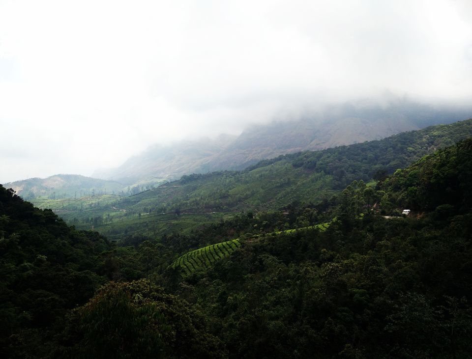 Photo of Green town! #DestinationSouth 13/15 by Swati Singh